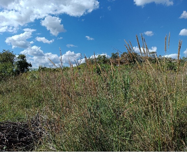 ESIA announcement picture 1