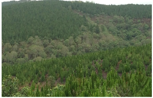 ESIA announcement picture 2